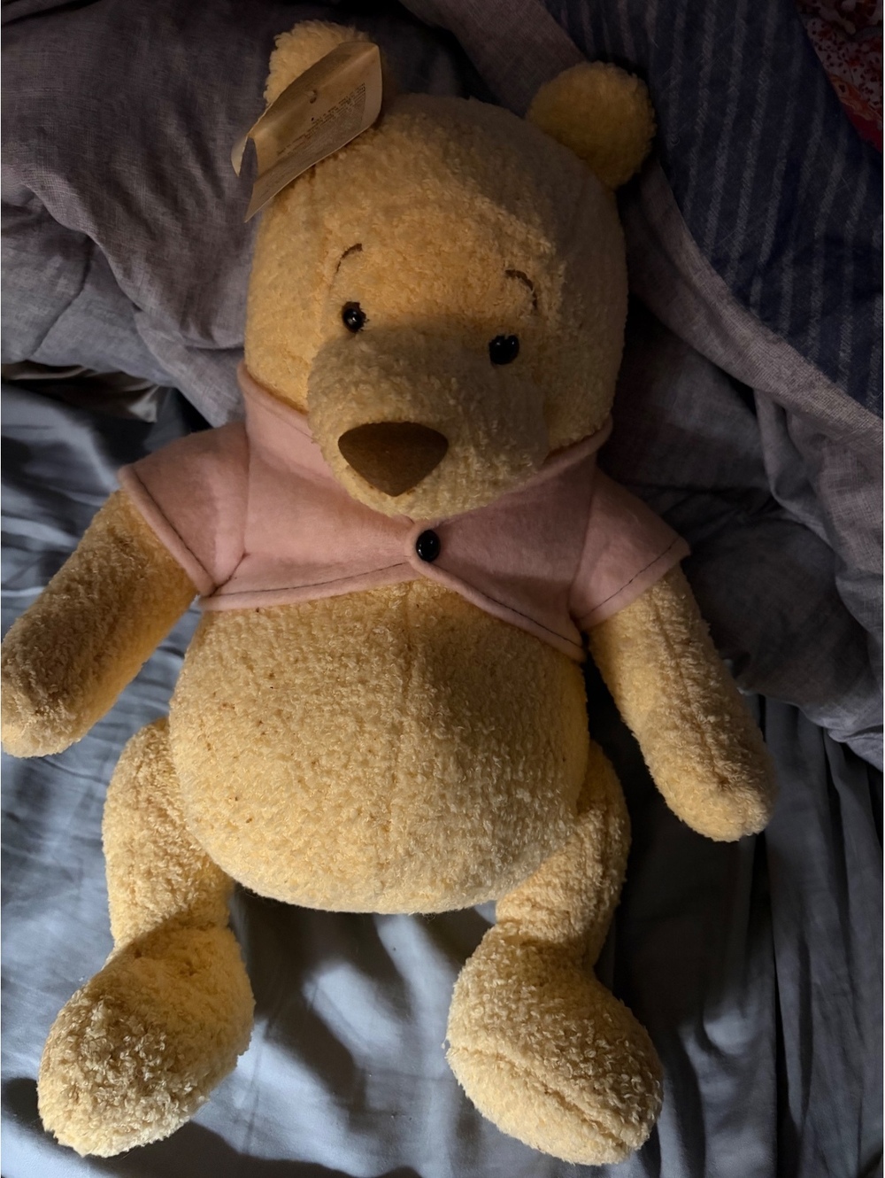 Classic Pooh 13" Plush Doll from Disney Store